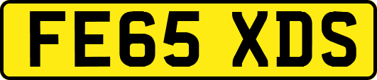 FE65XDS