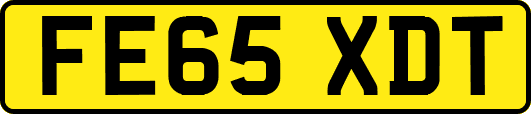FE65XDT