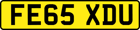 FE65XDU