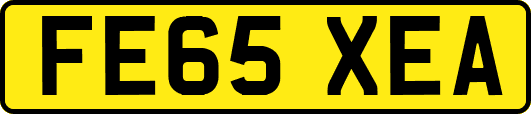 FE65XEA