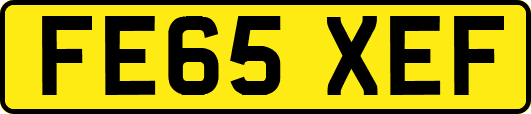 FE65XEF
