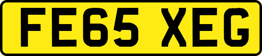 FE65XEG