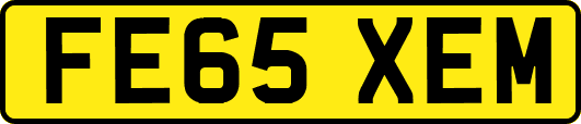 FE65XEM