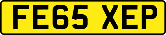 FE65XEP