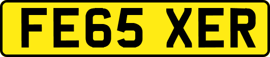 FE65XER