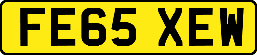 FE65XEW