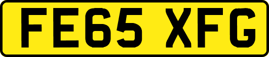 FE65XFG