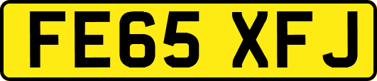 FE65XFJ