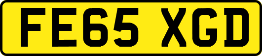 FE65XGD