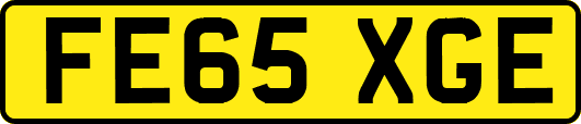 FE65XGE