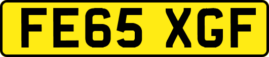 FE65XGF