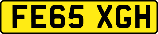 FE65XGH