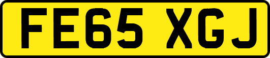 FE65XGJ