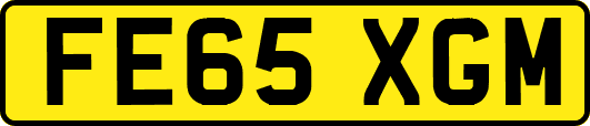 FE65XGM