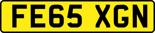 FE65XGN
