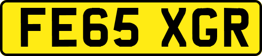 FE65XGR