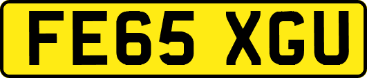 FE65XGU