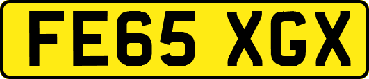FE65XGX