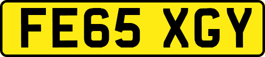 FE65XGY