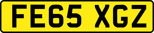 FE65XGZ