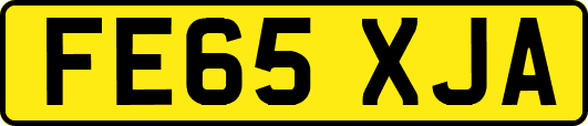 FE65XJA