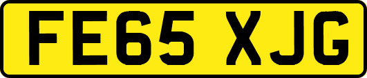 FE65XJG