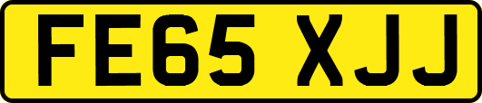 FE65XJJ