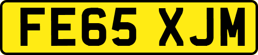 FE65XJM