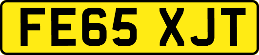 FE65XJT