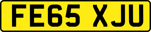 FE65XJU