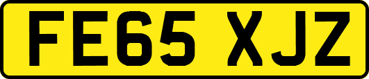 FE65XJZ