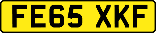 FE65XKF