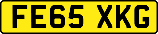 FE65XKG