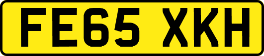 FE65XKH