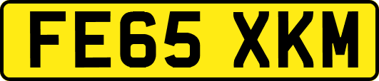 FE65XKM