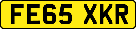 FE65XKR