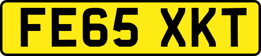 FE65XKT