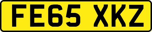 FE65XKZ