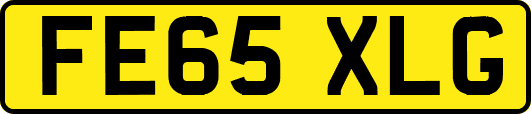 FE65XLG