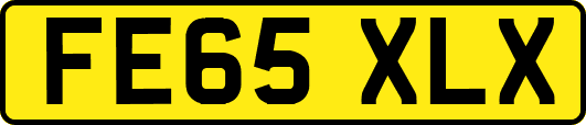 FE65XLX