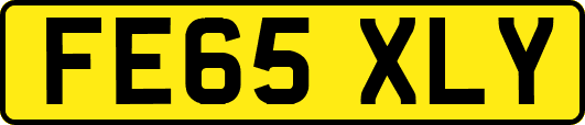 FE65XLY