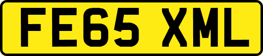 FE65XML
