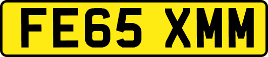 FE65XMM
