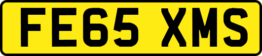 FE65XMS