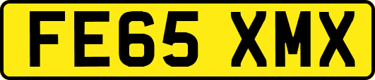 FE65XMX