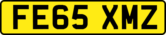 FE65XMZ