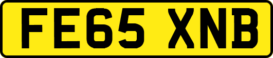 FE65XNB