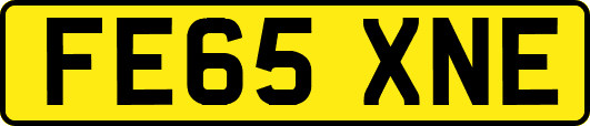 FE65XNE