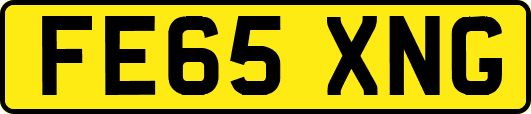 FE65XNG