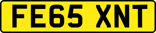 FE65XNT